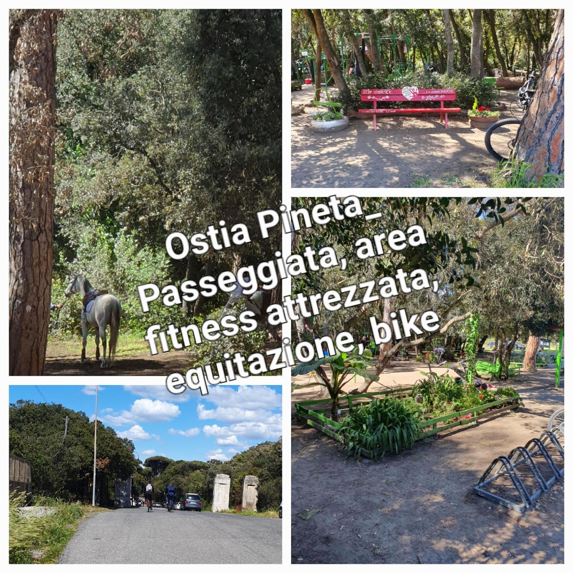 דירות Casa Diana Ostia מראה חיצוני תמונה